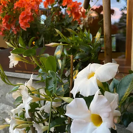 Appartement Maison Maribel *