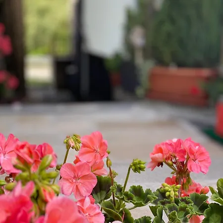 Maison Maribel Pré-Saint-Didier