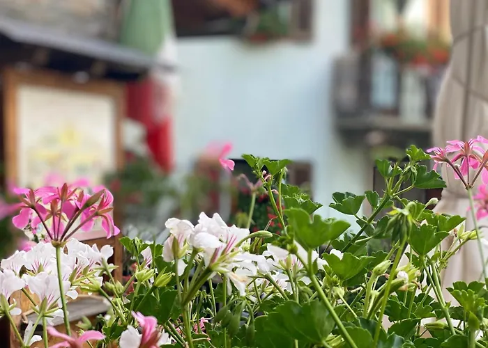 Appartement Maison Maribel